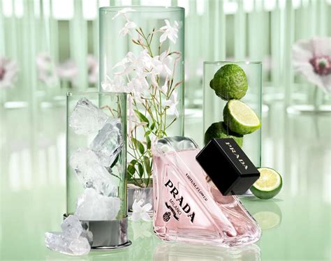 prada flower price|prada paradoxe fragrance.